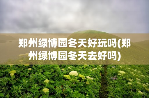 郑州绿博园冬天好玩吗(郑州绿博园冬天去好吗)