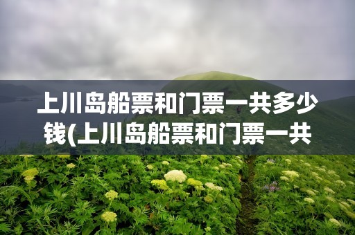 上川岛船票和门票一共多少钱(上川岛船票和门票一共多少钱残疾人是否免门票)