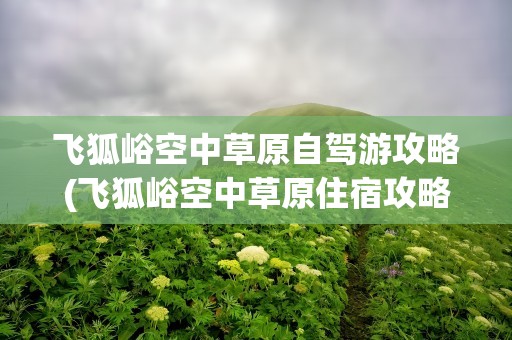 飞狐峪空中草原自驾游攻略(飞狐峪空中草原住宿攻略)