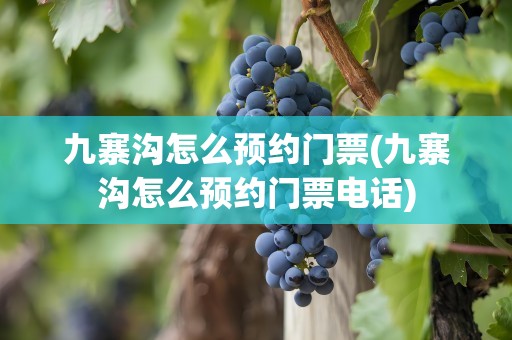 九寨沟怎么预约门票(九寨沟怎么预约门票电话)