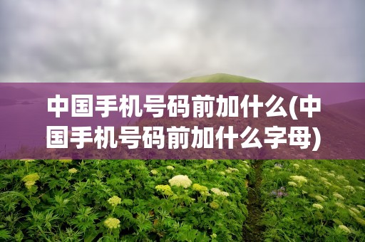 中国手机号码前加什么(中国手机号码前加什么字母)