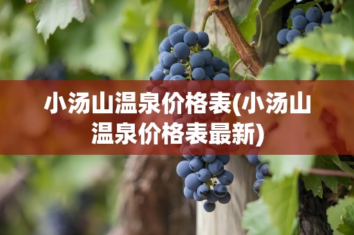 小汤山温泉价格表(小汤山温泉价格表最新)