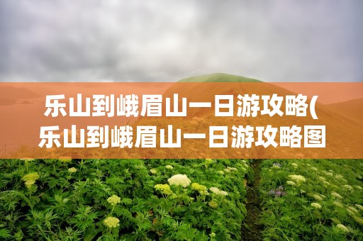 乐山到峨眉山一日游攻略(乐山到峨眉山一日游攻略图)