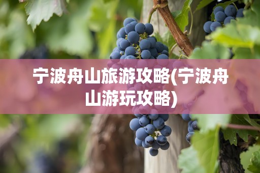 宁波舟山旅游攻略(宁波舟山游玩攻略)
