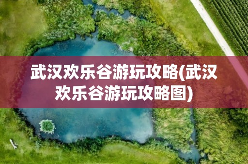 武汉欢乐谷游玩攻略(武汉欢乐谷游玩攻略图)