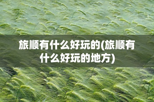 旅顺有什么好玩的(旅顺有什么好玩的地方)