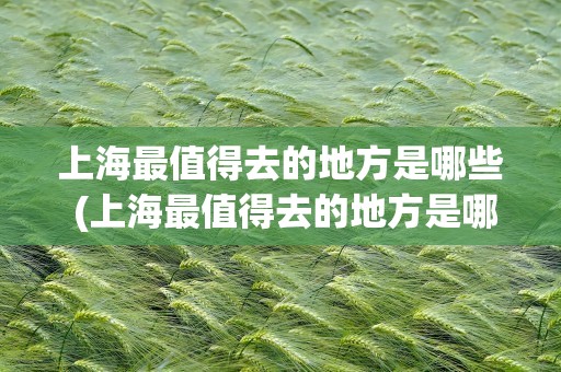 上海最值得去的地方是哪些 (上海最值得去的地方是哪些)