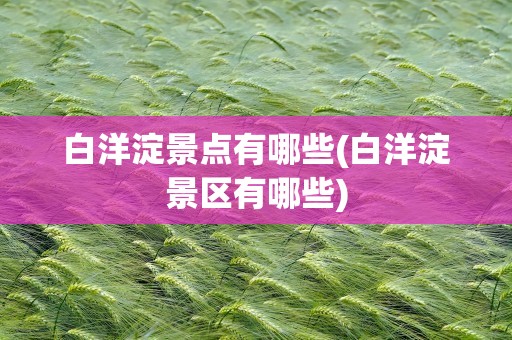 白洋淀景点有哪些(白洋淀景区有哪些)