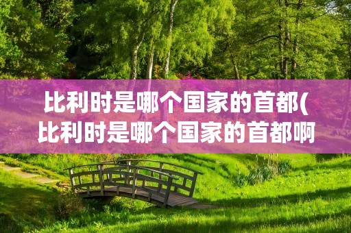比利时是哪个国家的首都(比利时是哪个国家的首都啊)
