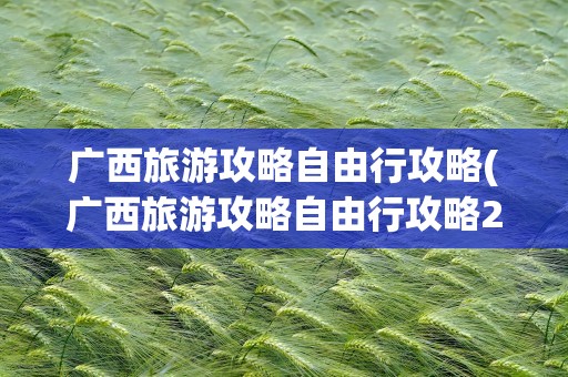广西旅游攻略自由行攻略(广西旅游攻略自由行攻略2天)