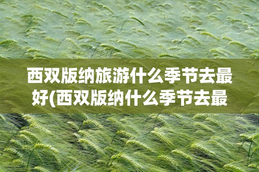 西双版纳旅游什么季节去最好(西双版纳什么季节去最好玩)