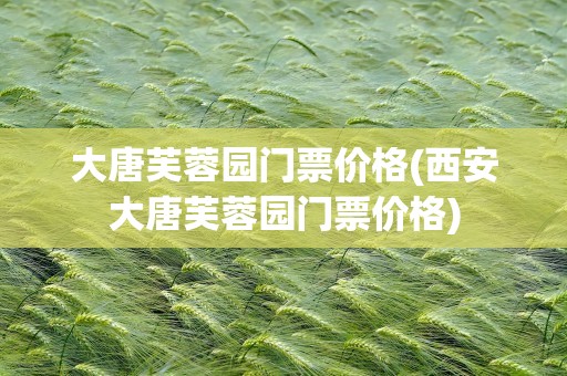 大唐芙蓉园门票价格(西安大唐芙蓉园门票价格)