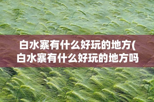 白水寨有什么好玩的地方(白水寨有什么好玩的地方吗)