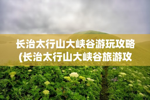 长治太行山大峡谷游玩攻略(长治太行山大峡谷旅游攻略)