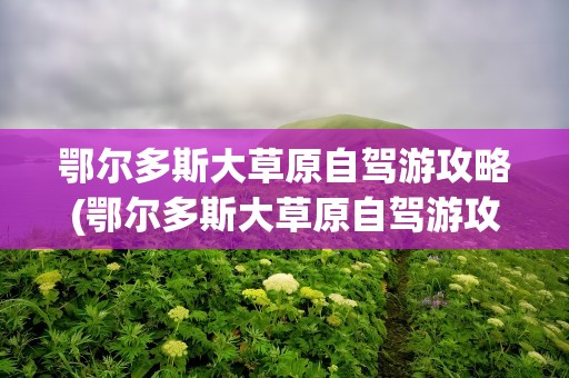 鄂尔多斯大草原自驾游攻略(鄂尔多斯大草原自驾游攻略图)