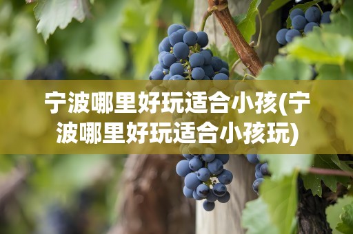 宁波哪里好玩适合小孩(宁波哪里好玩适合小孩玩)
