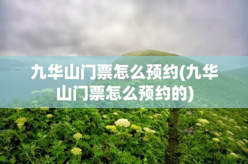 九华山门票怎么预约(九华山门票怎么预约的)