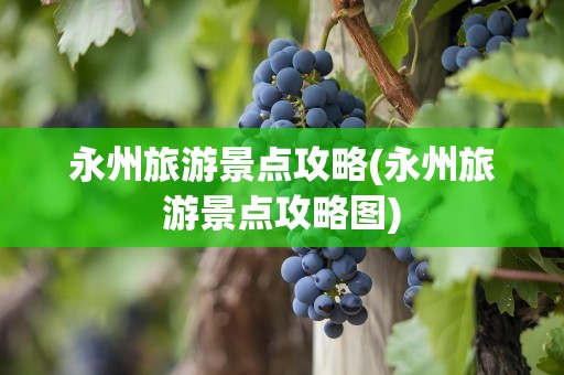 永州旅游景点攻略(永州旅游景点攻略图)