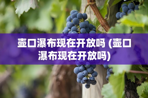 壶口瀑布现在开放吗 (壶口瀑布现在开放吗)