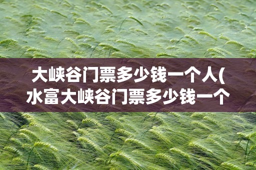 大峡谷门票多少钱一个人(水富大峡谷门票多少钱一个人)