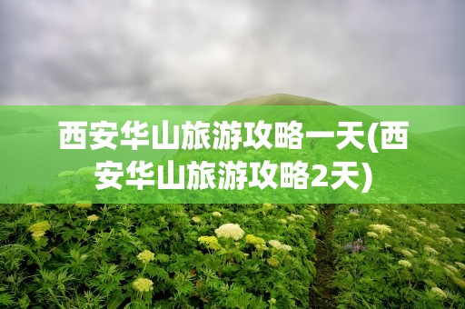 西安华山旅游攻略一天(西安华山旅游攻略2天)