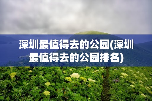 深圳最值得去的公园(深圳最值得去的公园排名)
