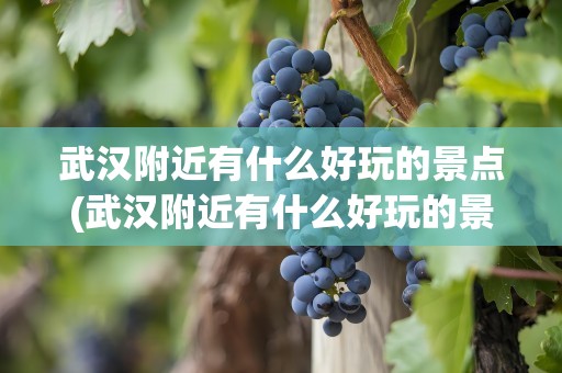 武汉附近有什么好玩的景点(武汉附近有什么好玩的景点吗)
