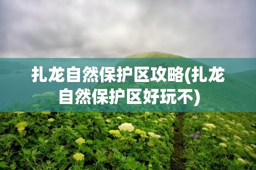 扎龙自然保护区攻略(扎龙自然保护区好玩不)