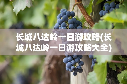 长城八达岭一日游攻略(长城八达岭一日游攻略大全)