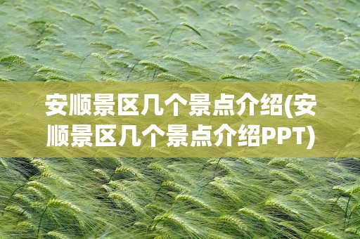 安顺景区几个景点介绍(安顺景区几个景点介绍PPT)