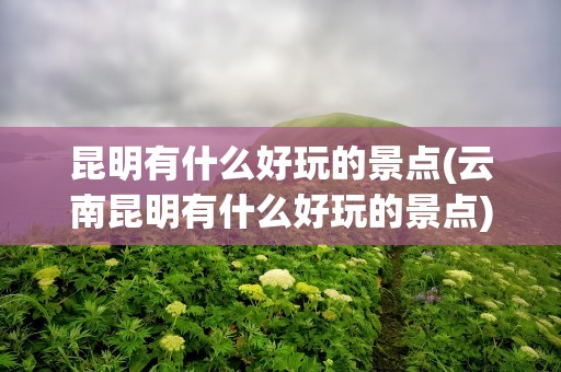 昆明有什么好玩的景点(云南昆明有什么好玩的景点)