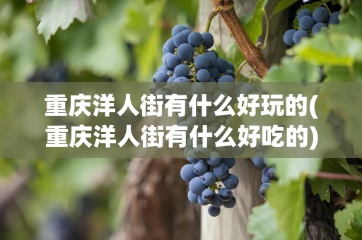重庆洋人街有什么好玩的(重庆洋人街有什么好吃的)