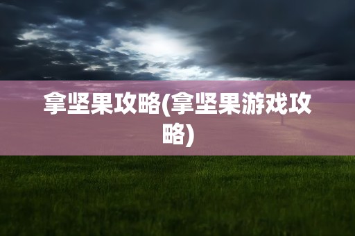 拿坚果攻略(拿坚果游戏攻略)