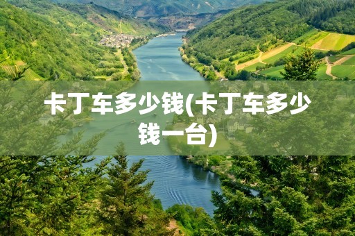 卡丁车多少钱(卡丁车多少钱一台)