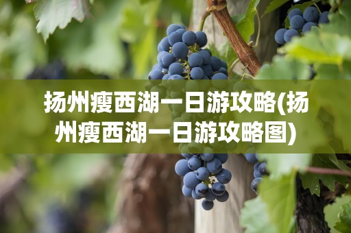 扬州瘦西湖一日游攻略(扬州瘦西湖一日游攻略图)