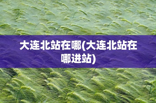 大连北站在哪(大连北站在哪进站)
