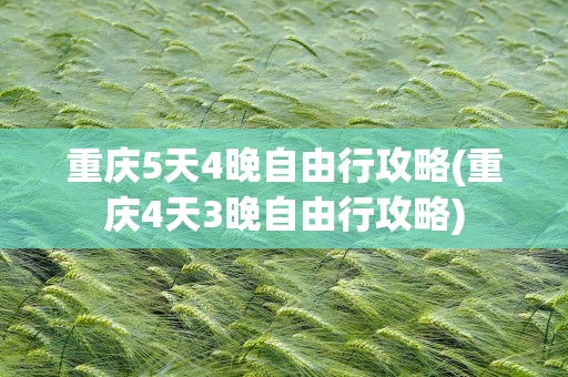 重庆5天4晚自由行攻略(重庆4天3晚自由行攻略)
