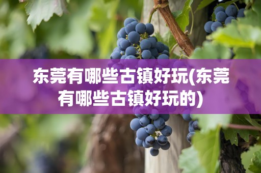 东莞有哪些古镇好玩(东莞有哪些古镇好玩的)