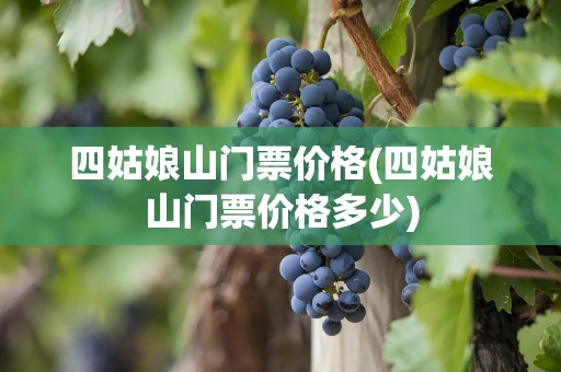 四姑娘山门票价格(四姑娘山门票价格多少)