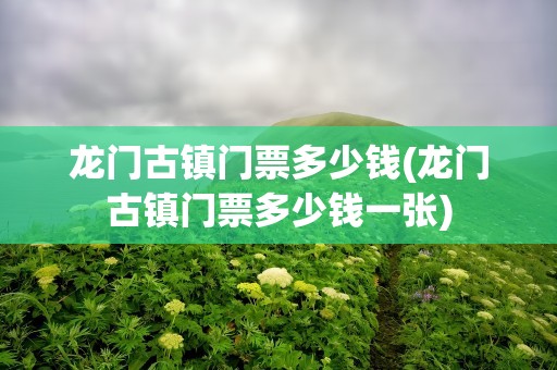 龙门古镇门票多少钱(龙门古镇门票多少钱一张)