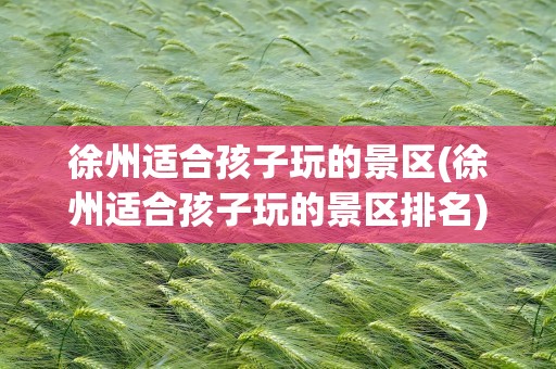 徐州适合孩子玩的景区(徐州适合孩子玩的景区排名)