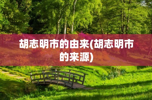 胡志明市的由来(胡志明市的来源)