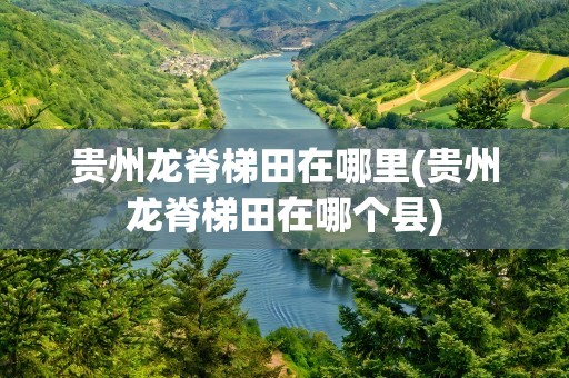 贵州龙脊梯田在哪里(贵州龙脊梯田在哪个县)