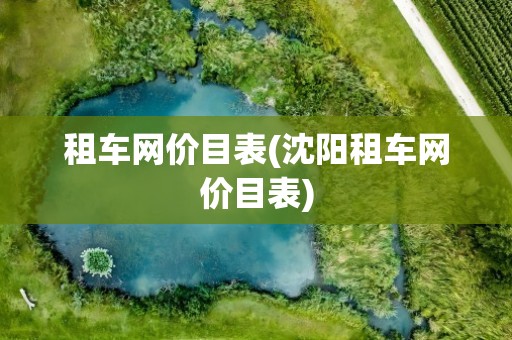 租车网价目表(沈阳租车网价目表)