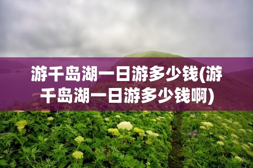 游千岛湖一日游多少钱(游千岛湖一日游多少钱啊)