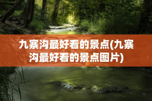 九寨沟最好看的景点(九寨沟最好看的景点图片)