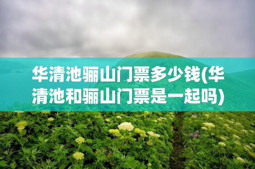华清池骊山门票多少钱(华清池和骊山门票是一起吗)