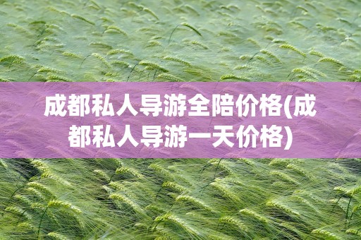 成都私人导游全陪价格(成都私人导游一天价格)