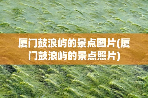 厦门鼓浪屿的景点图片(厦门鼓浪屿的景点照片)