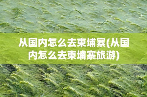 从国内怎么去柬埔寨(从国内怎么去柬埔寨旅游)